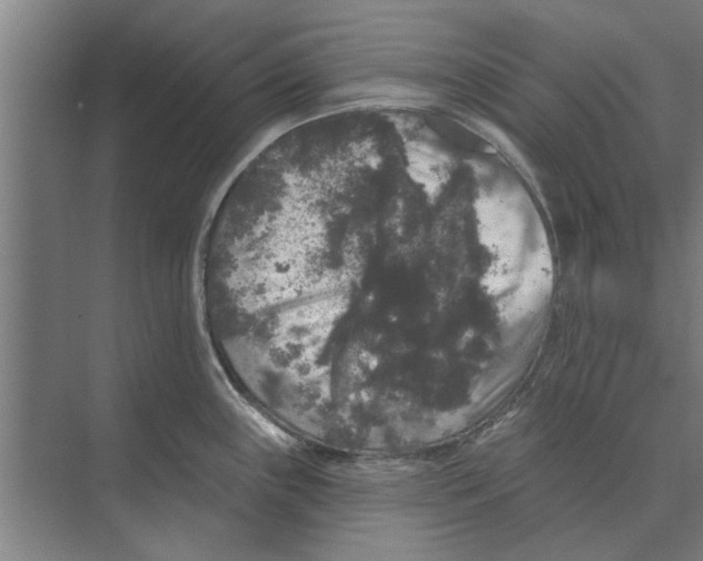 X0000074011243200609181826