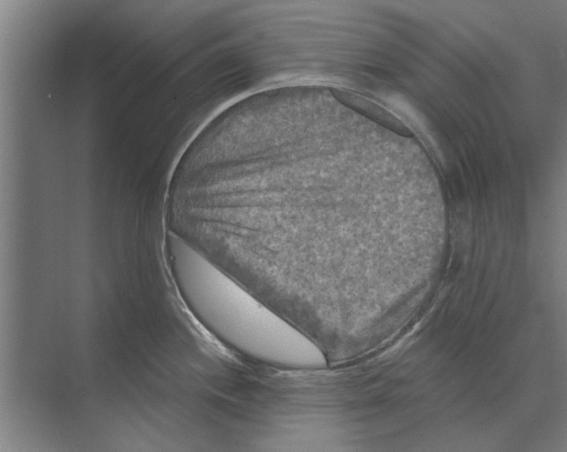 X0000074011244200609181826