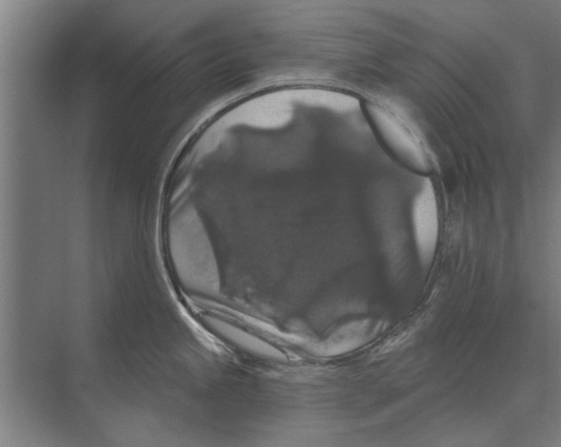 X0000074011245200609181826