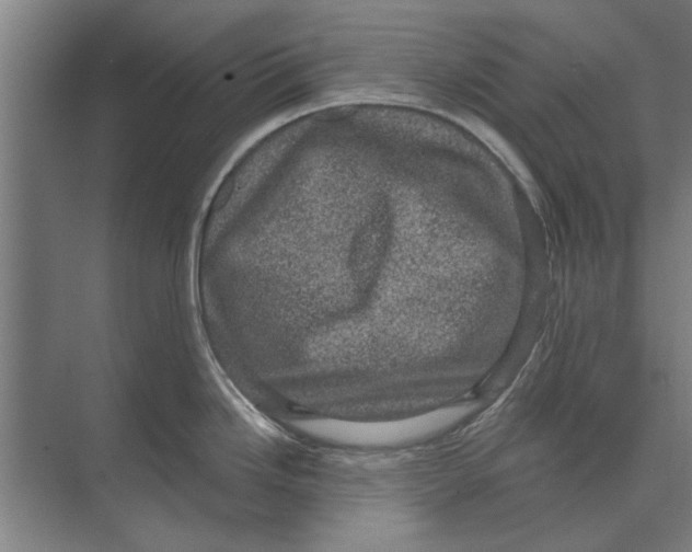 X0000074011246200609181826