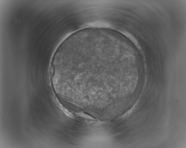 X0000074011248200609181826