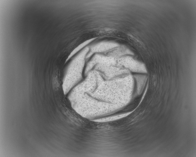 X0000074011250200609181825