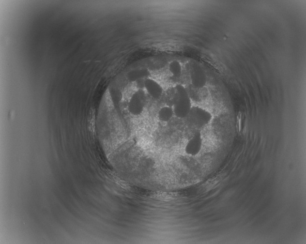 X0000074011251200609181825