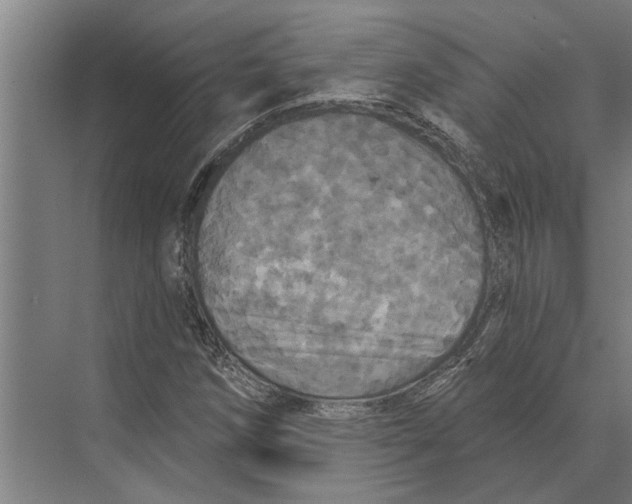 X0000074011258200609181825