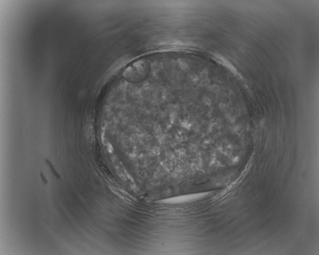 X0000074011259200609181825