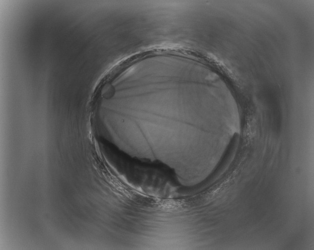 X0000074011262200609181825