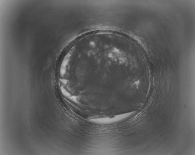 X0000074011263200609181825