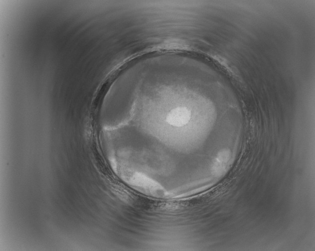 X0000074011266200609181825