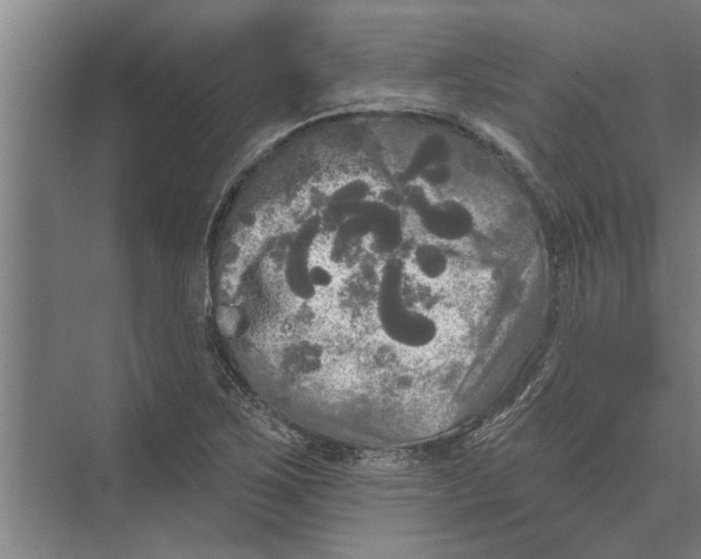 X0000074011267200609181825