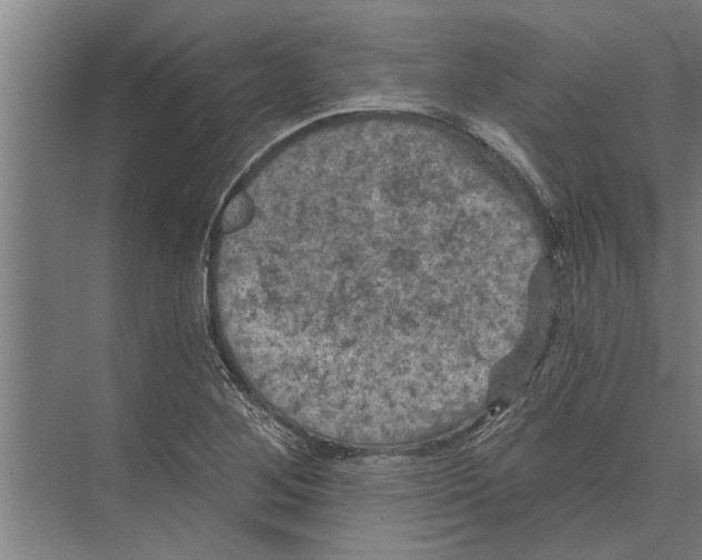 X0000074011268200609181825