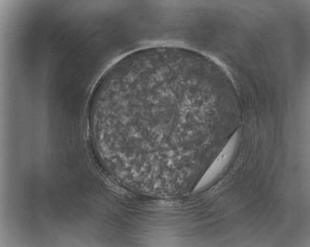 X0000074011271200609181825