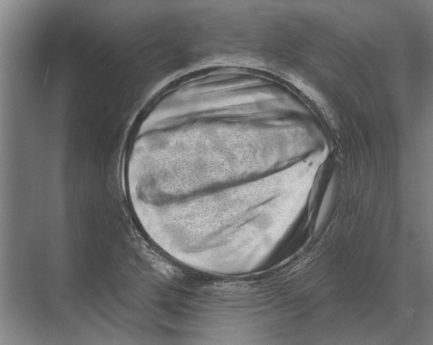 X0000074011272200609181825