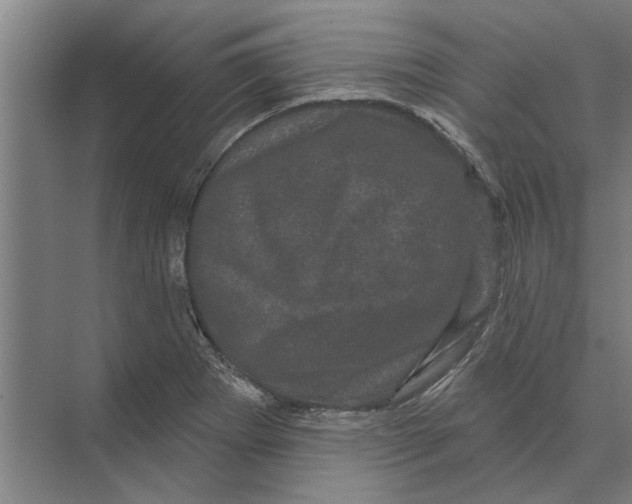 X0000074011273200609181825