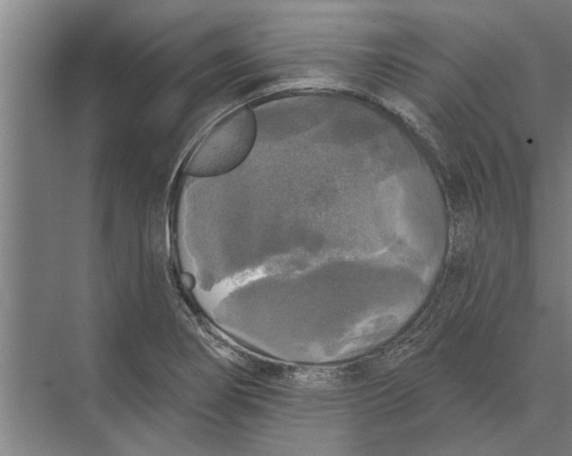 X0000074011274200609181825