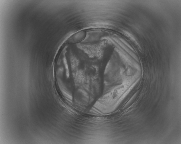 X0000074011275200609181825