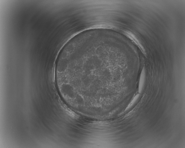 X0000074011276200609181825