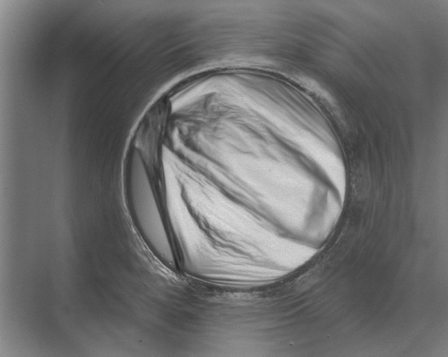 X0000074011280200609181825