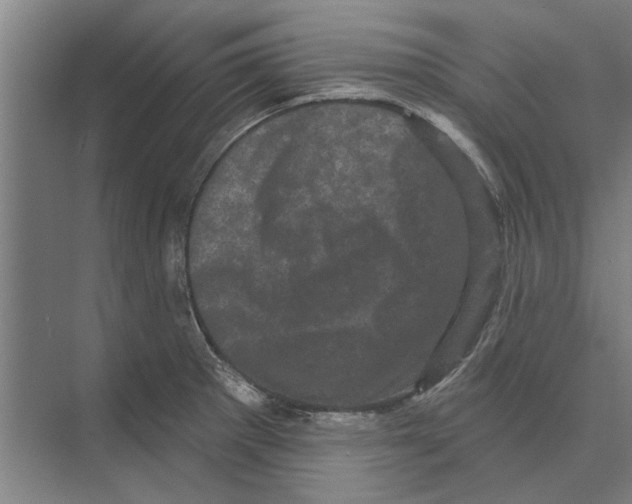 X0000074011281200609181825