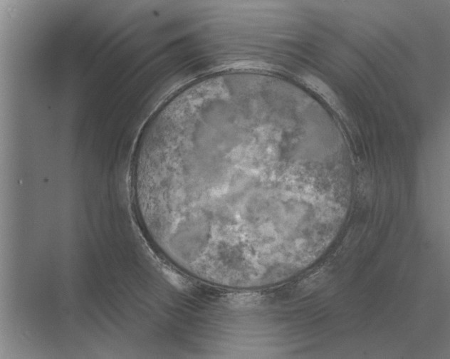 X0000074011282200609181825