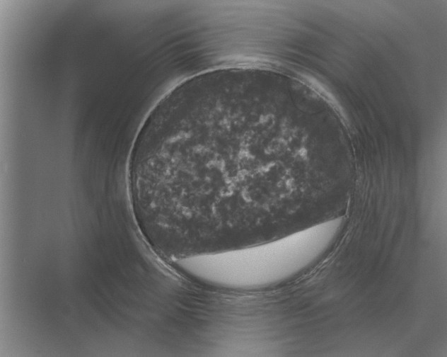 X0000074011283200609181825