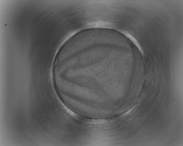 X0000074011285200609181825