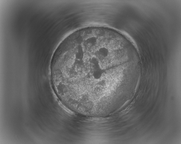 X0000074011287200609181824