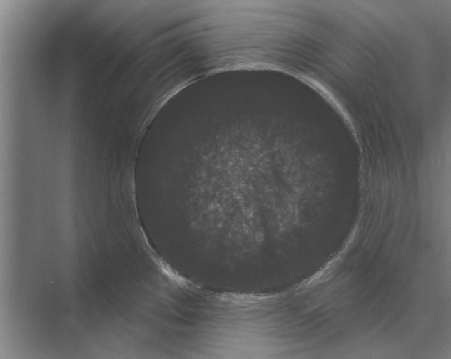 X0000074011289200609181824