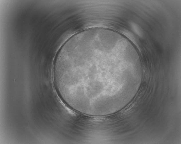 X0000074011290200609181824