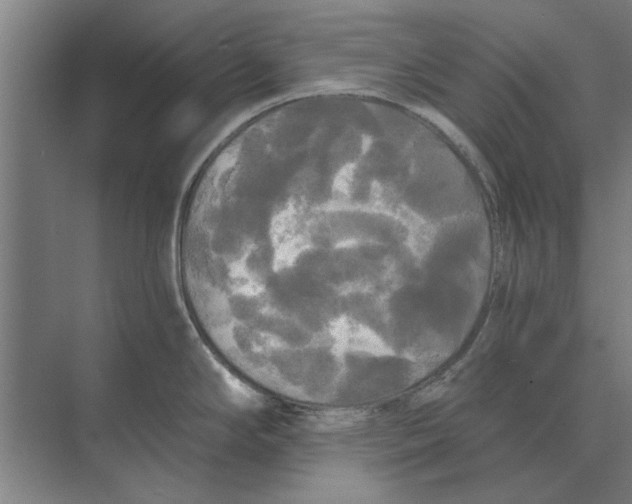 X0000074011294200609181824