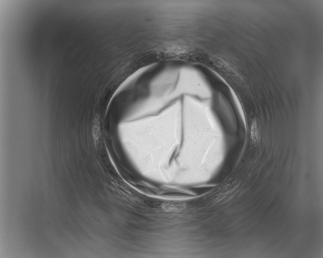 X0000074011299200609181824