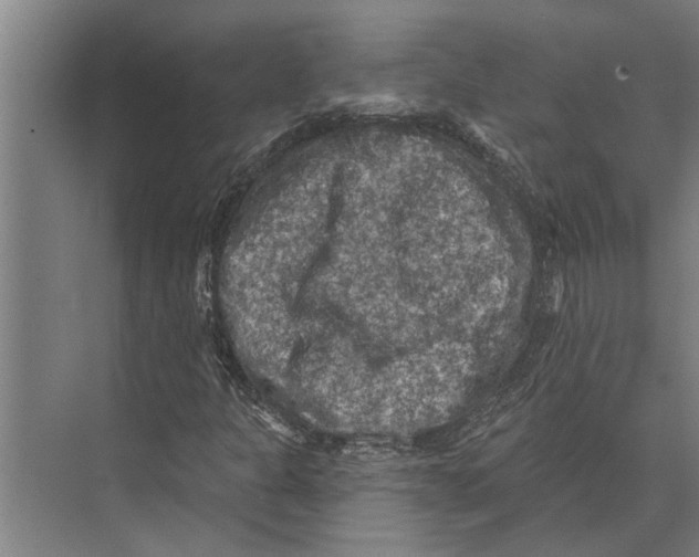 X0000074011301200609181824