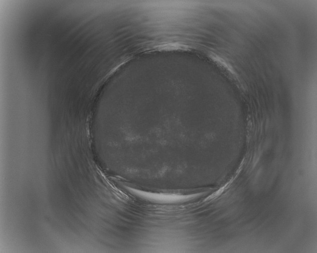 X0000074011305200609181824