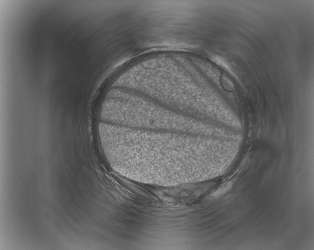 X0000074011307200609181824