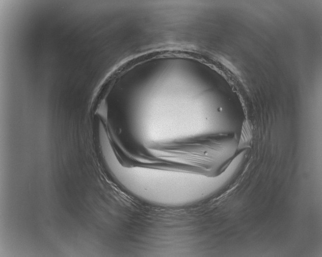 X0000074011310200609181824