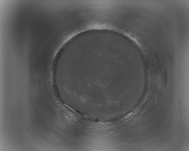 X0000074011311200609181824