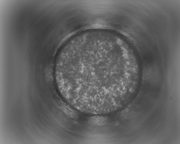 X0000074011314200609181824