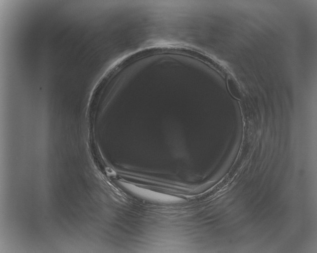 X0000074011319200609181824