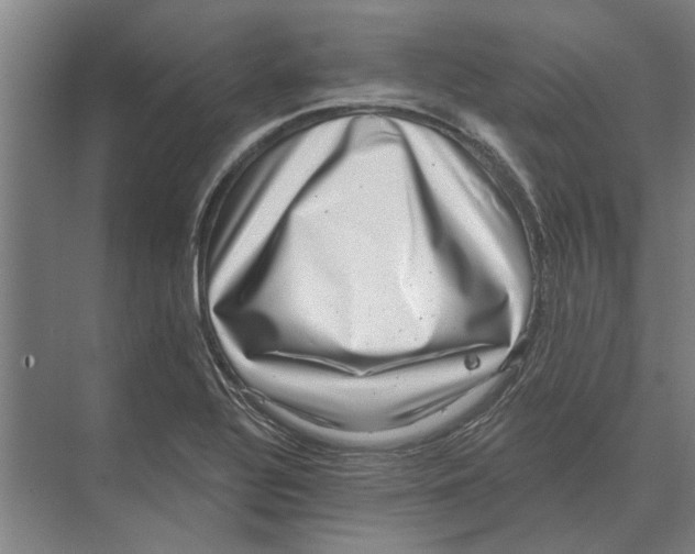 X0000074011320200609181824