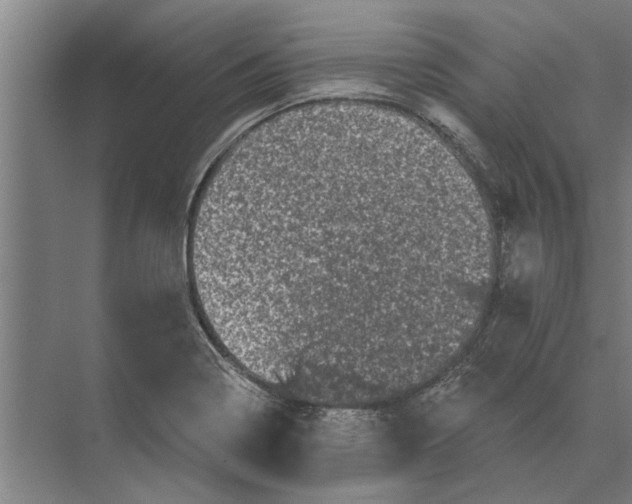 X0000074011322200609181824