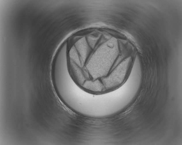 X0000074011326200609181824