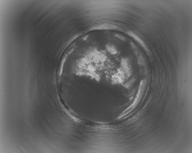 X0000074011329200609181824