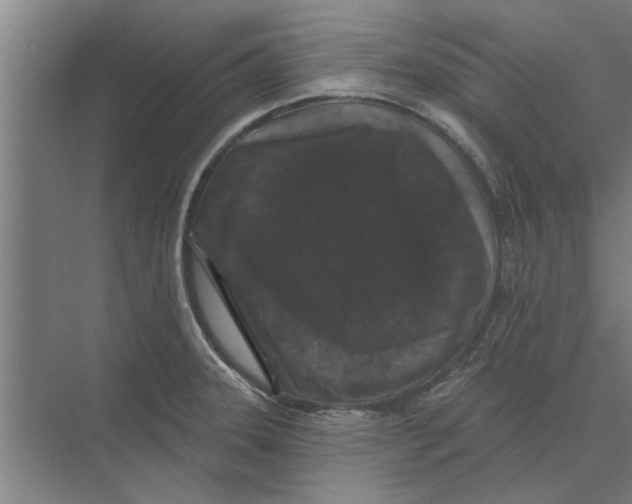 X0000074011331200609181824