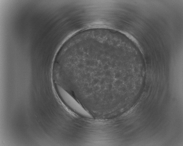 X0000074011333200609181824