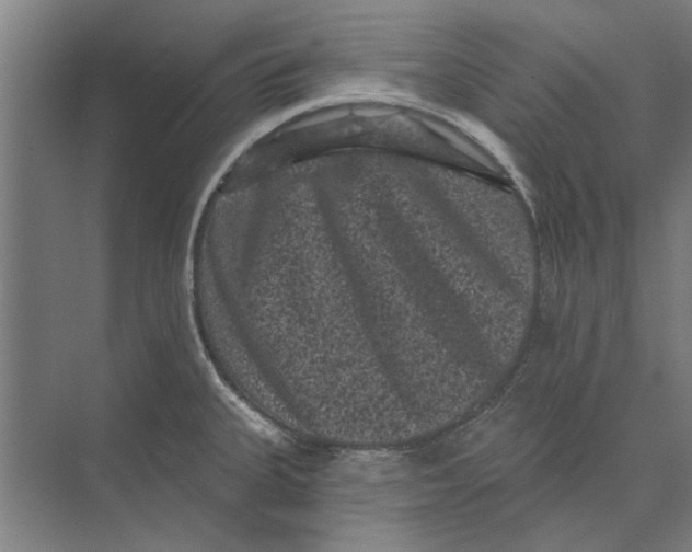 X0000074011335200609181824