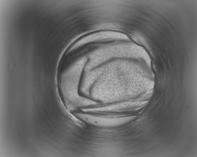 X0000074011339200609181824