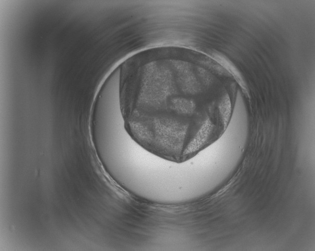 X0000074011340200609181824