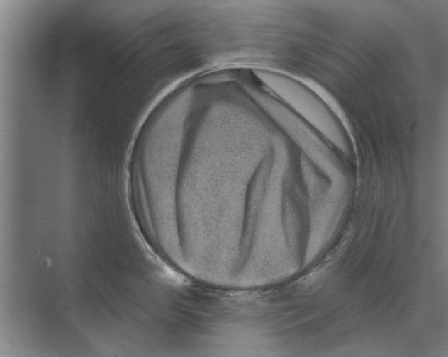 X0000074011341200609181824