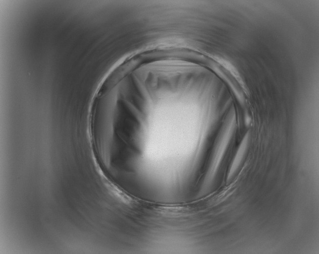 X0000074011342200609181824