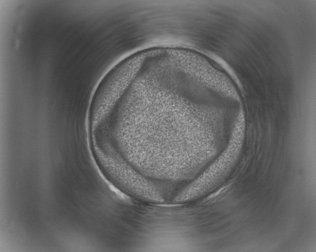 X0000074011343200609181824