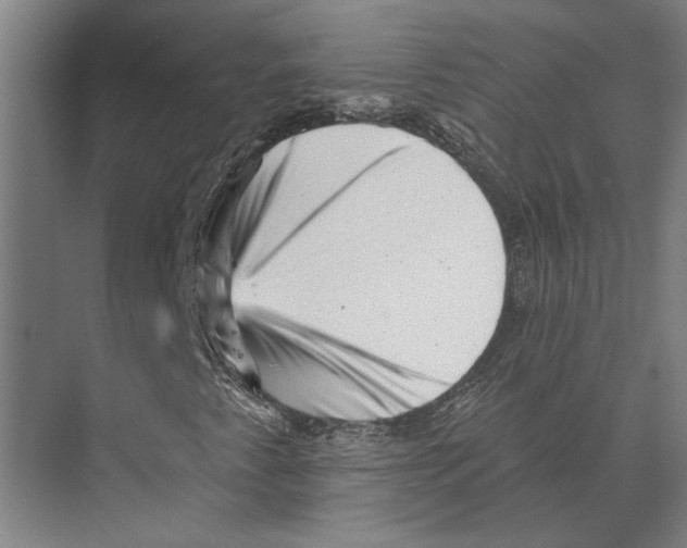 X0000074011345200609181823